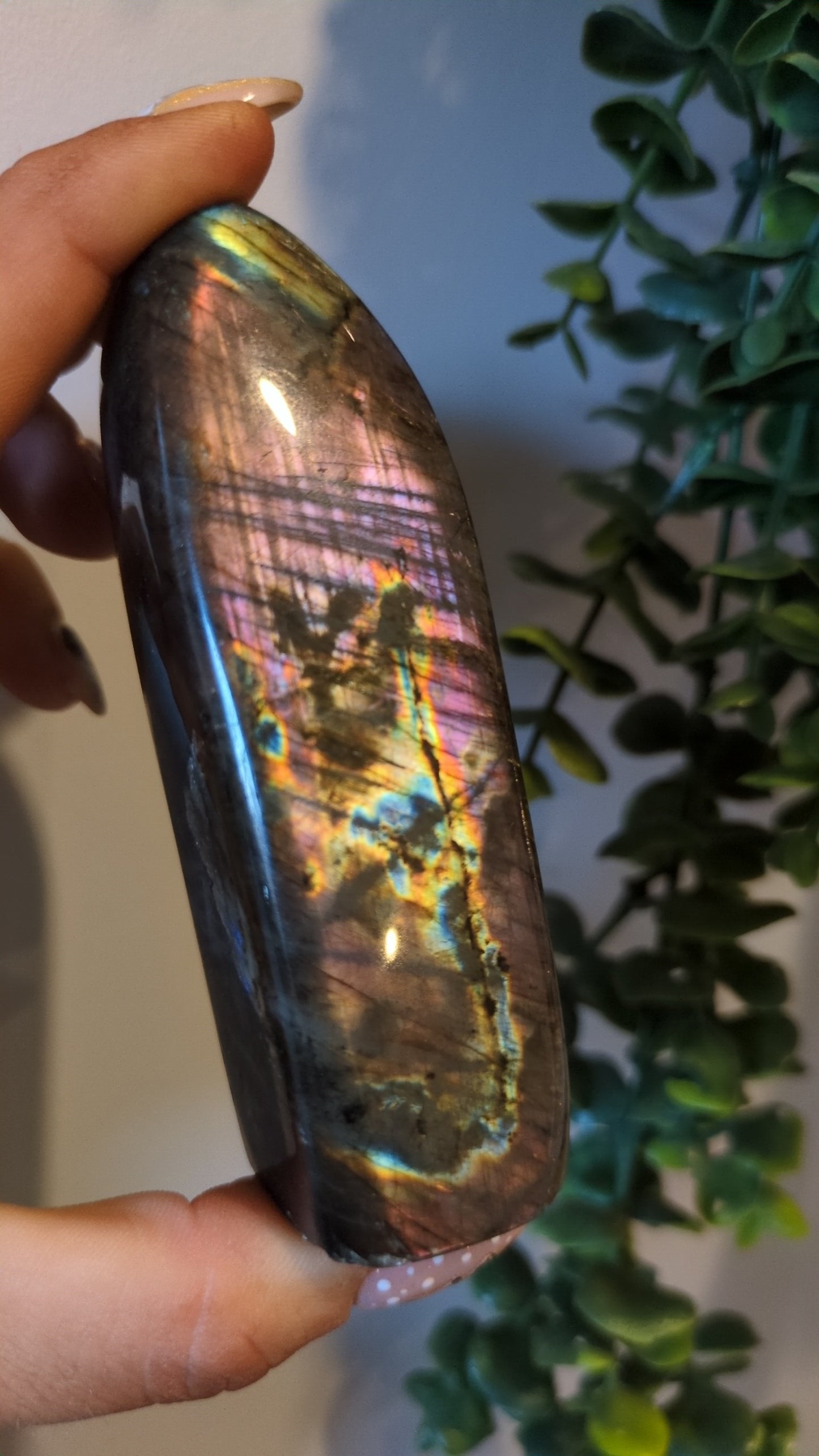 Labradorite freeform ✨ 26