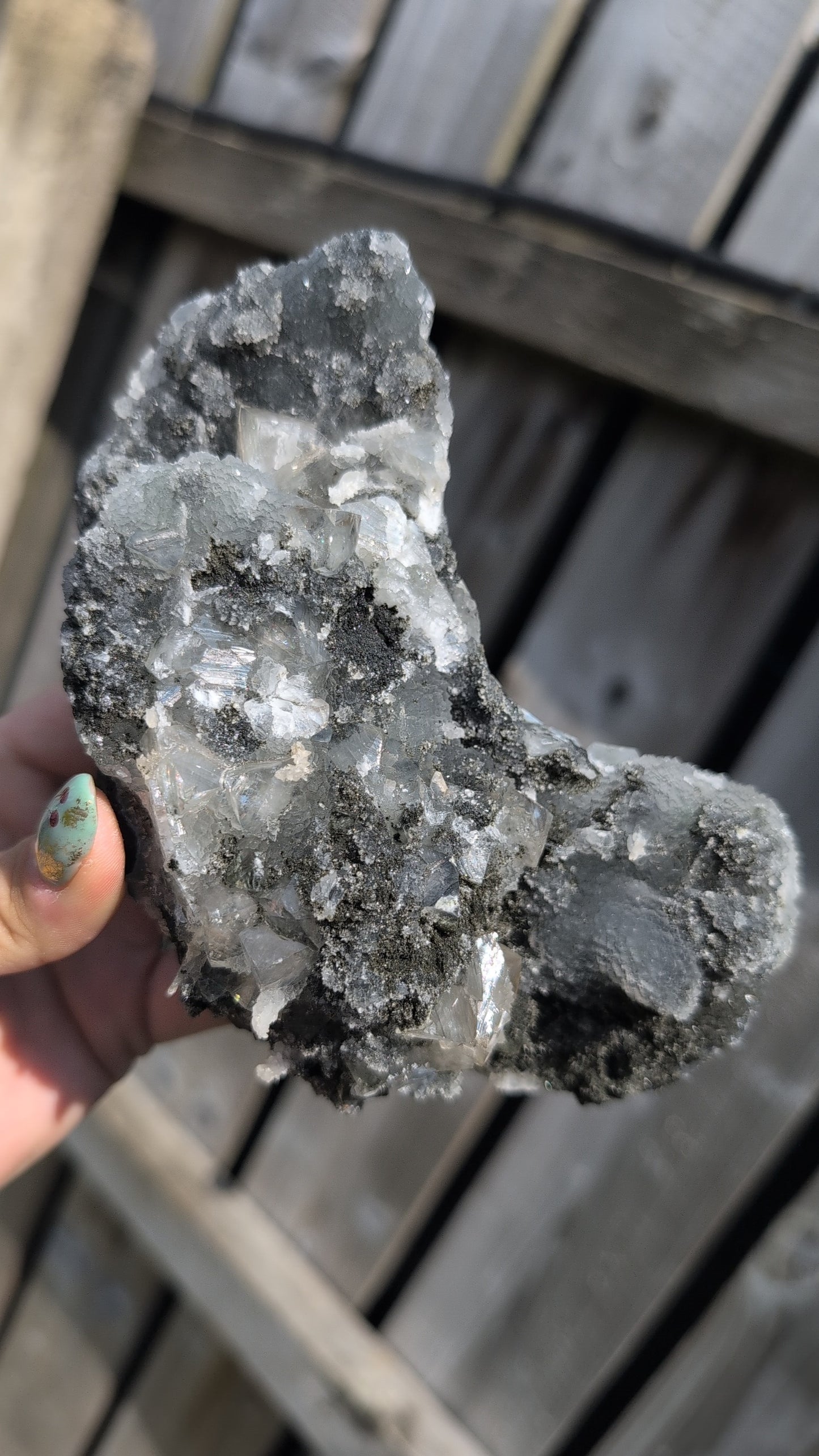 Black forest Apophyllite ✨ P
