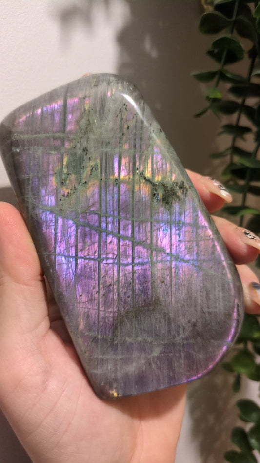 Labradorite freeform ✨ B