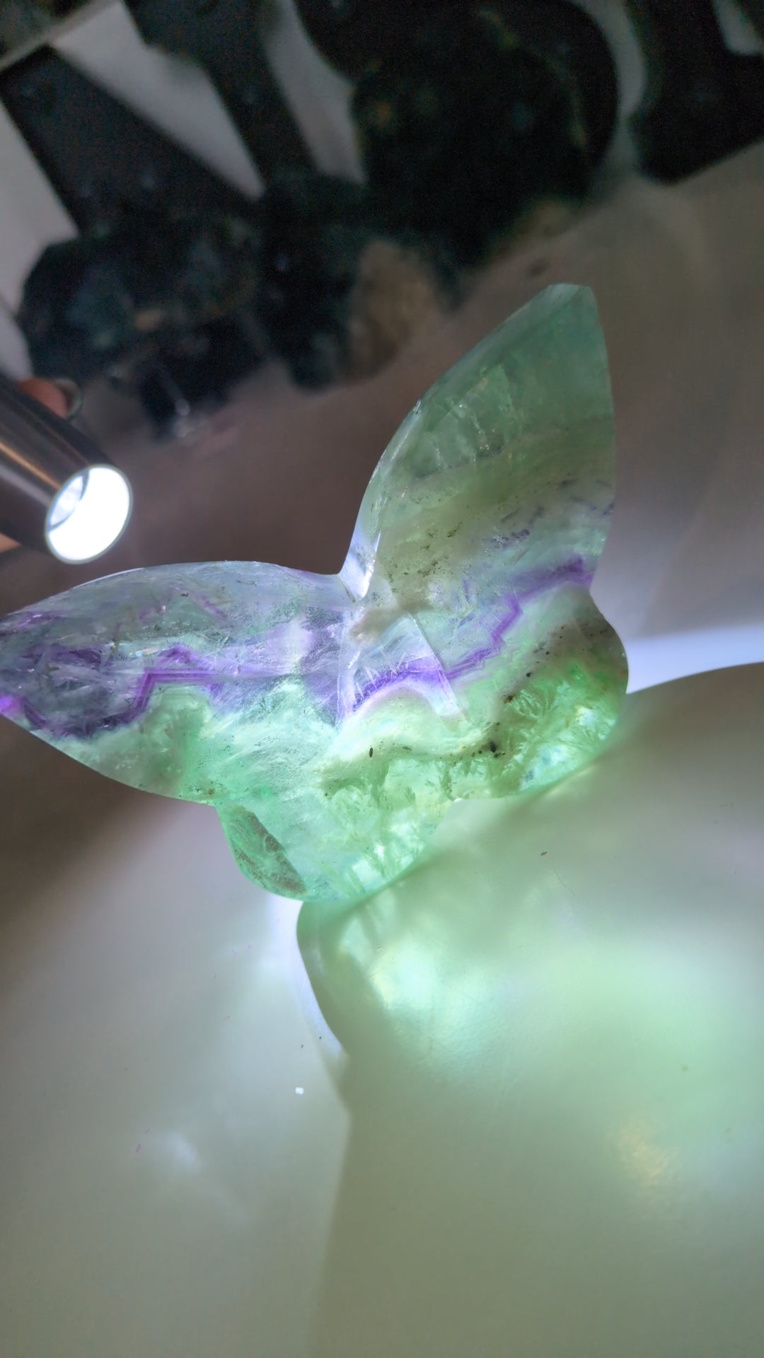 Feather flourite butterfly 🦋