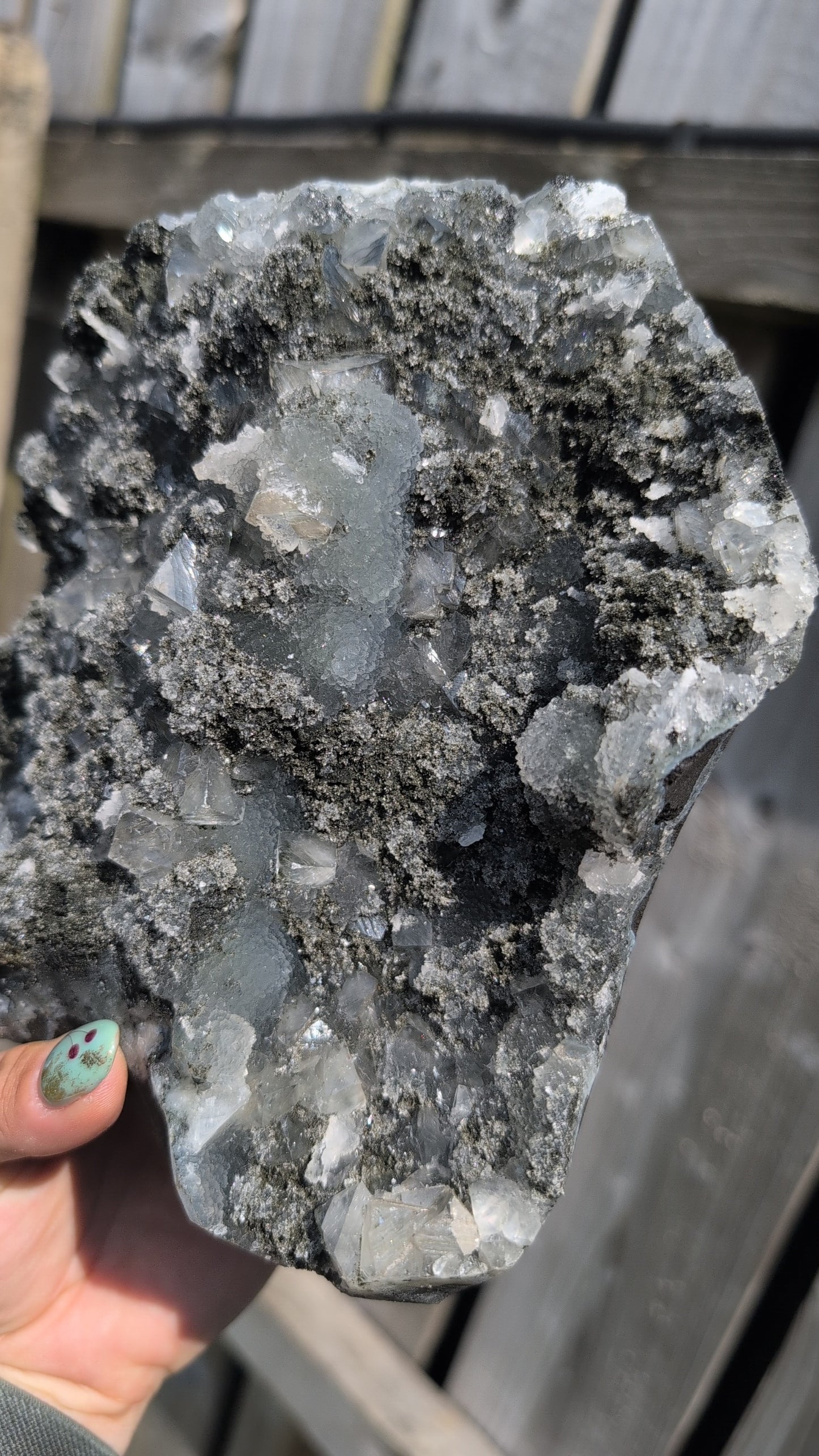 Black forest Apophyllite ✨ N