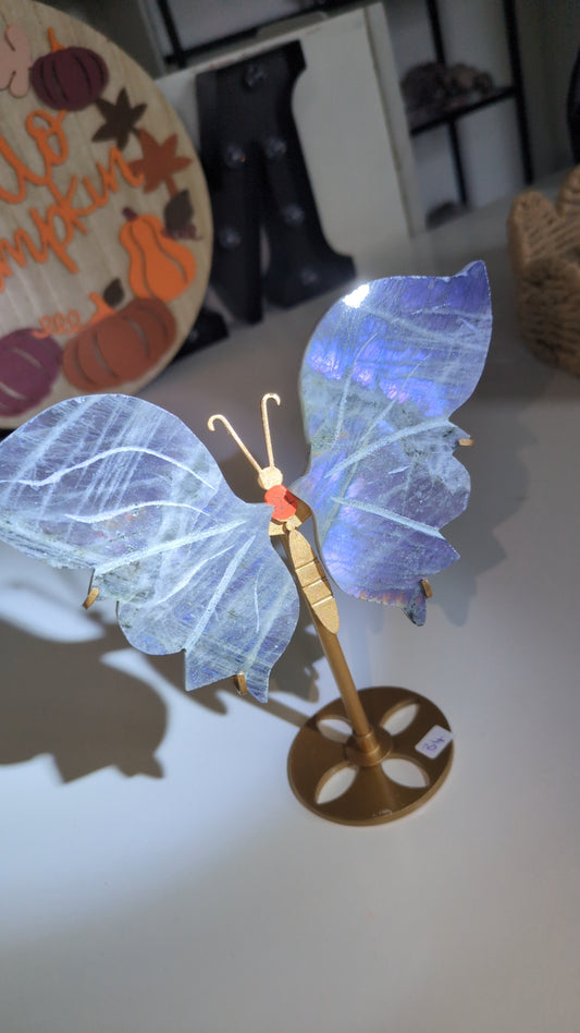 Labradorite wings set ( a22) ✨