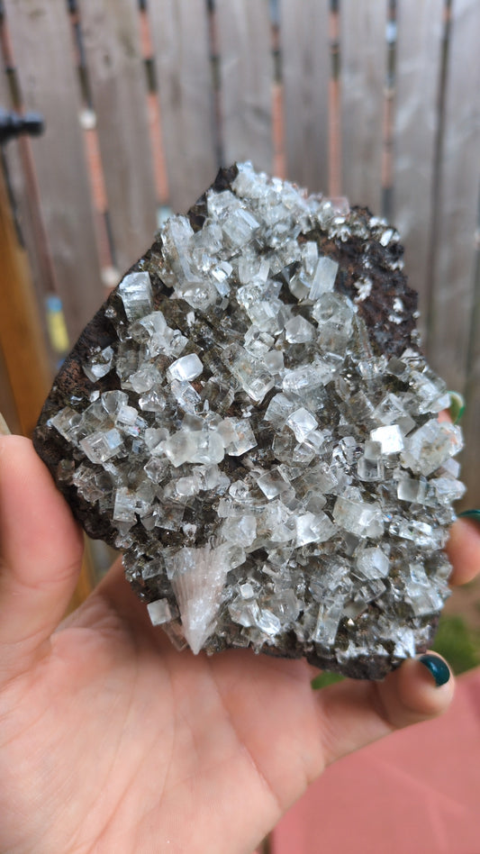 Forest Apophyllite ✨