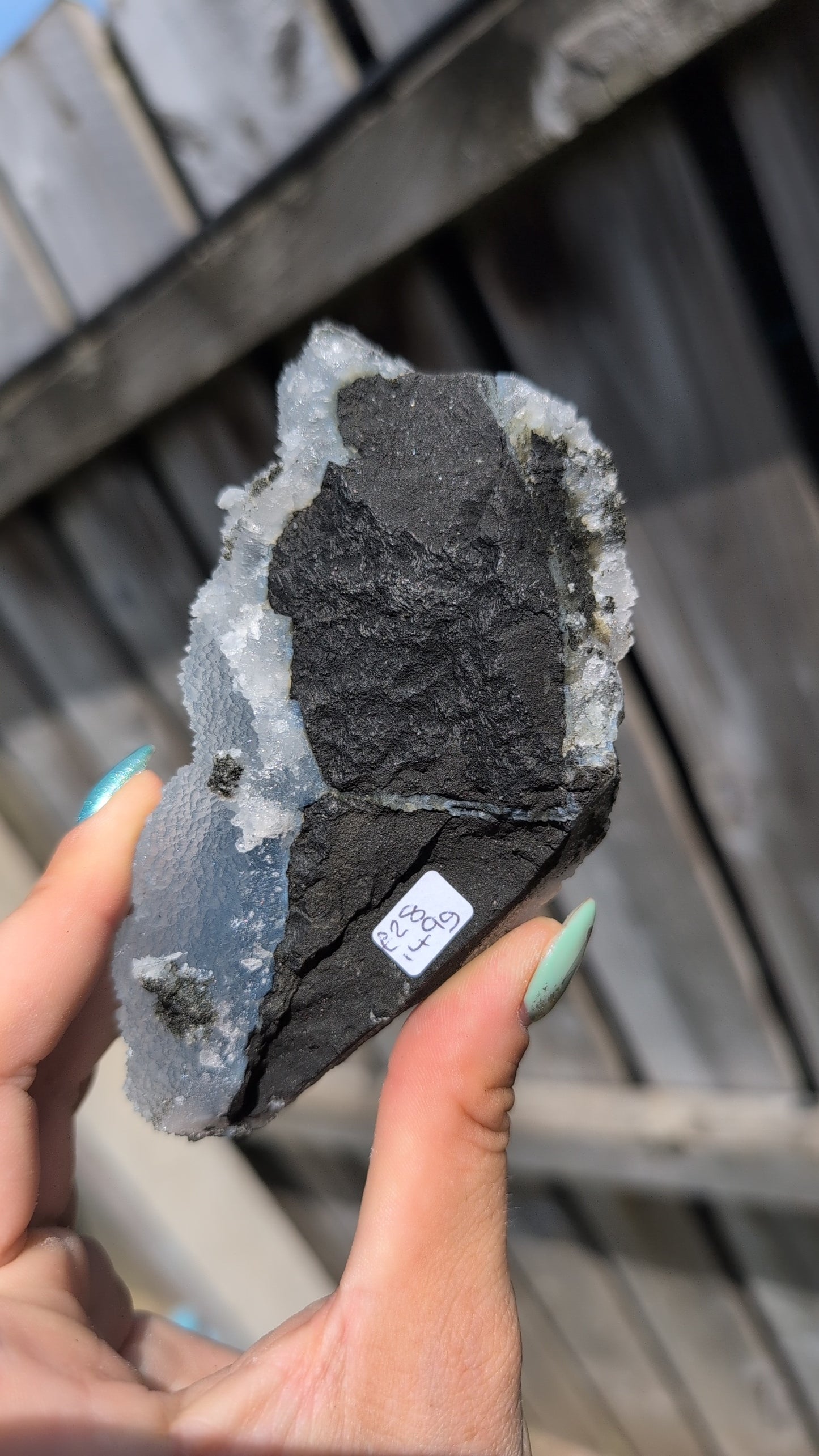Black forest Apophyllite ✨ Q