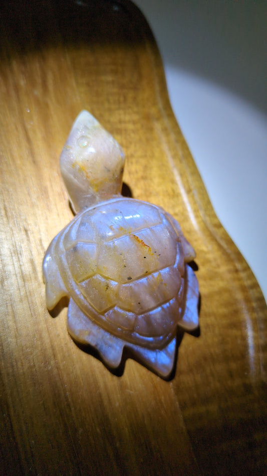 Moonstone turtle 🐢 B