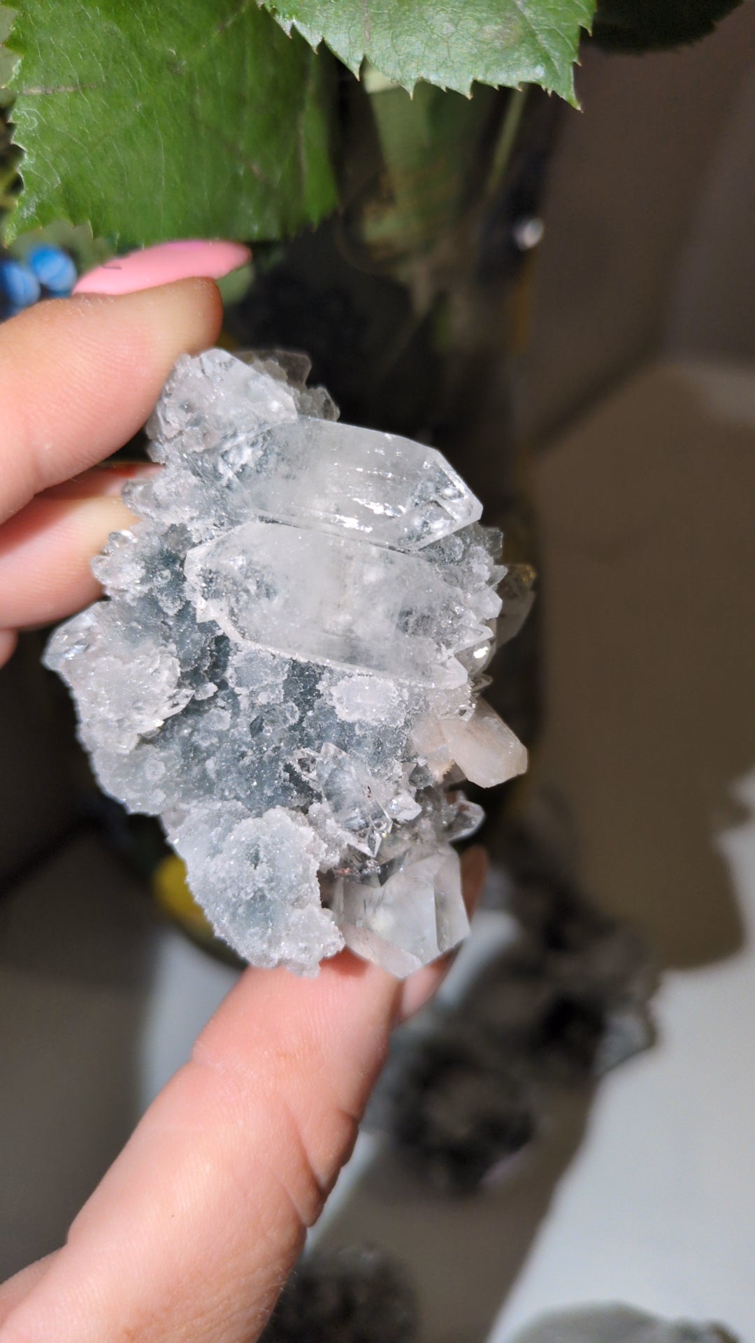 Small diamond Apophyllite specimens ✨