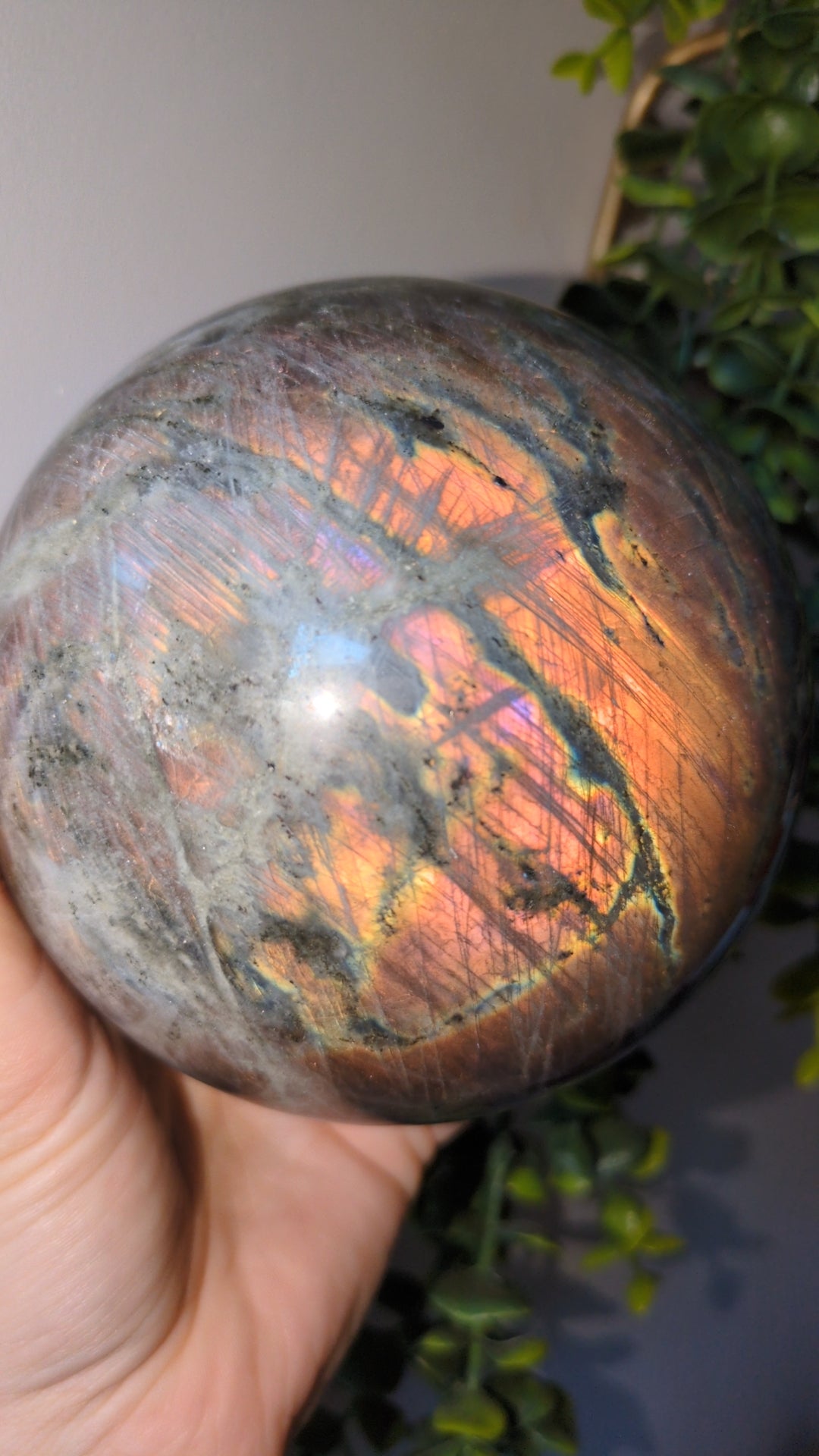XL sunset Labradorite Sphere ✨