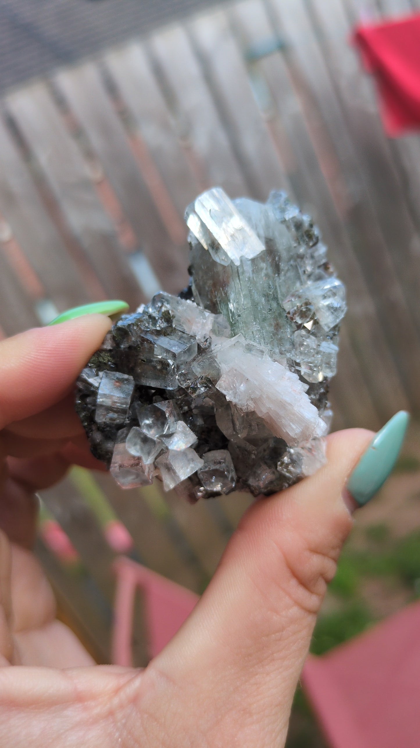 Forest Apophyllite ✨