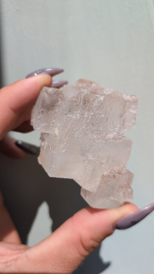 Clear Halite from Morocco (P) ✨