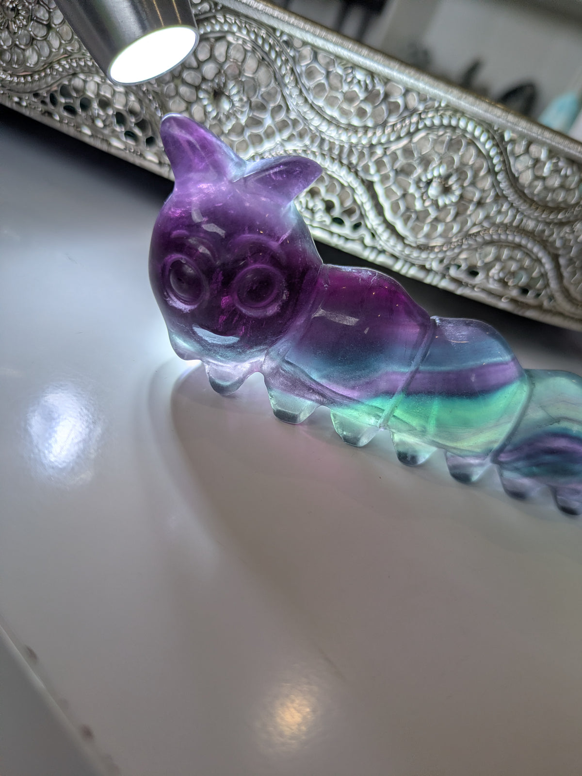Rainbow flourite caterpillar 🐛