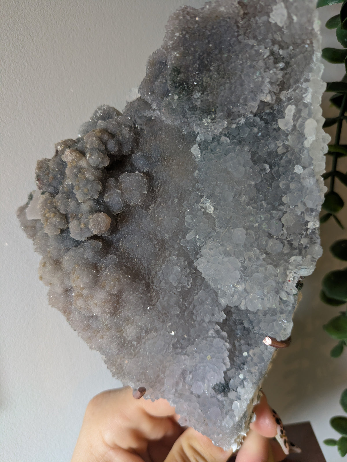 Zeolite On stand ✨ A