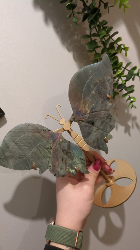 Green flash labradorite wings ✨