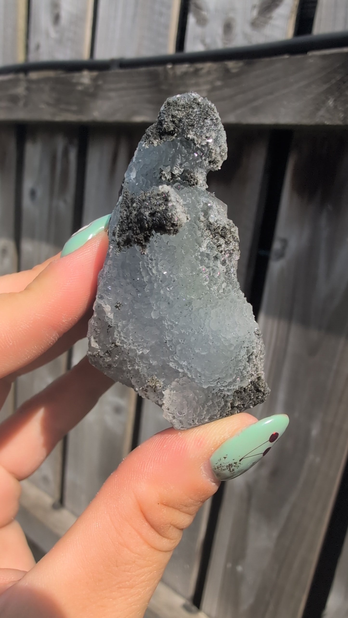 Black forest Apophyllite ✨ G