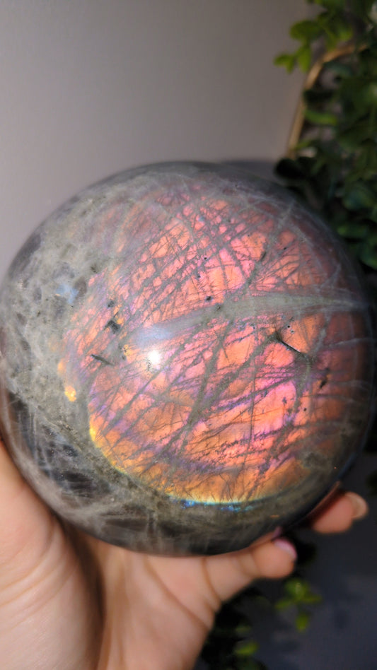 XL sunset Labradorite Sphere ✨