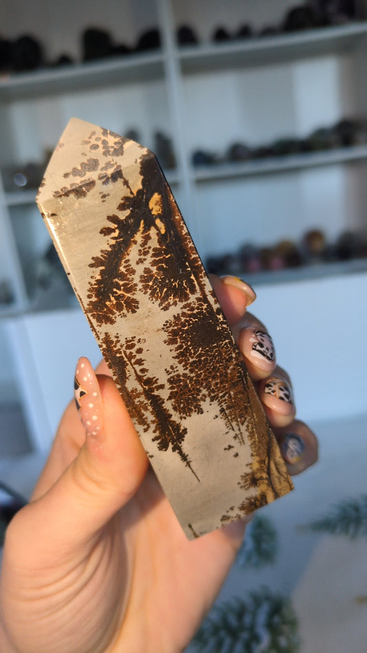 Picture jasper tower ✨