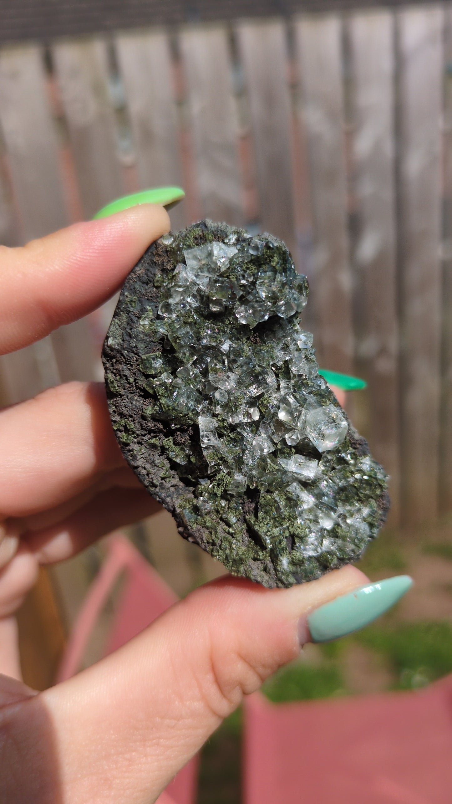 Forest Apophyllite ✨ Z