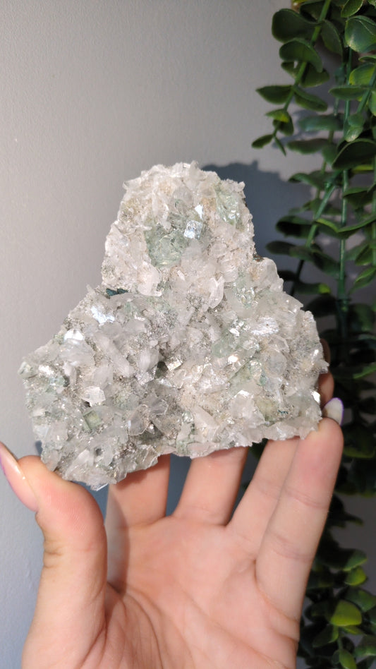 Icy Mint Apophyllite ✨ O