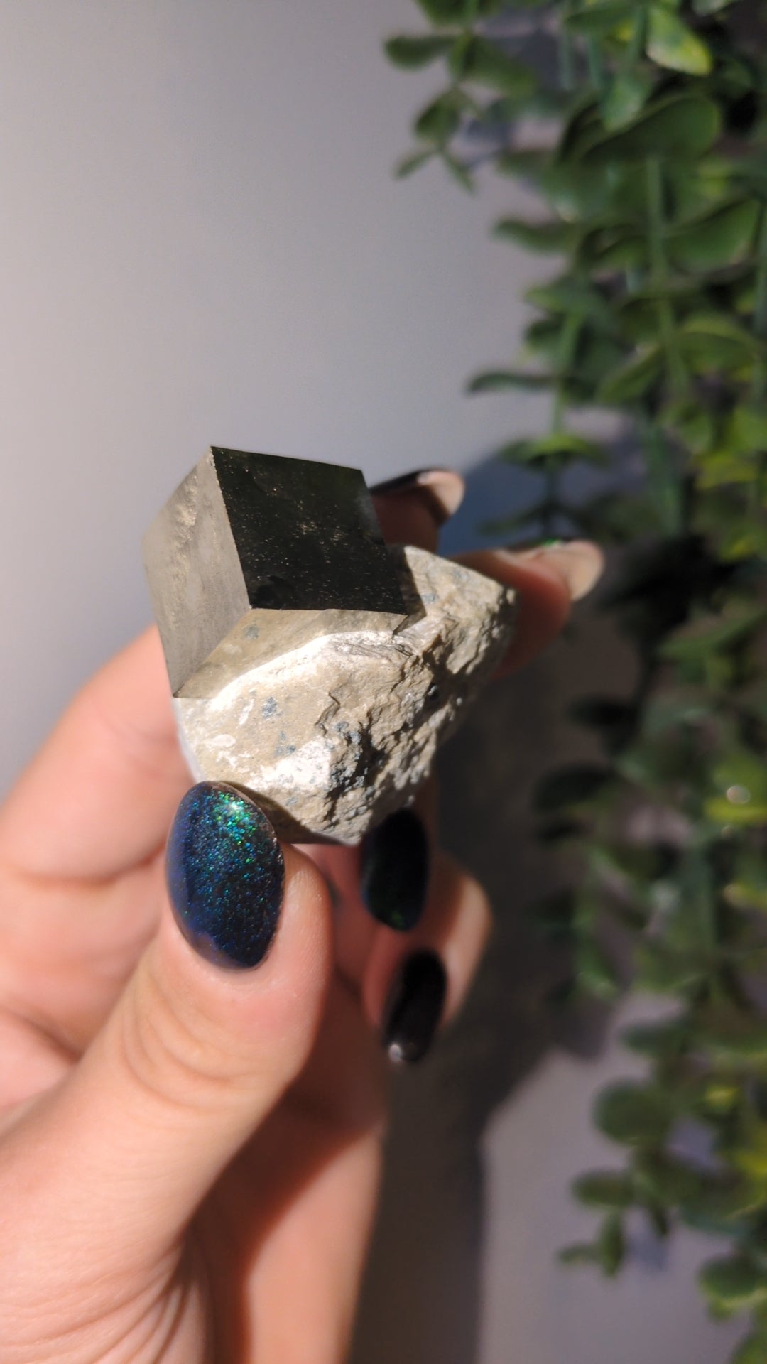 Pyrite cube on matrix