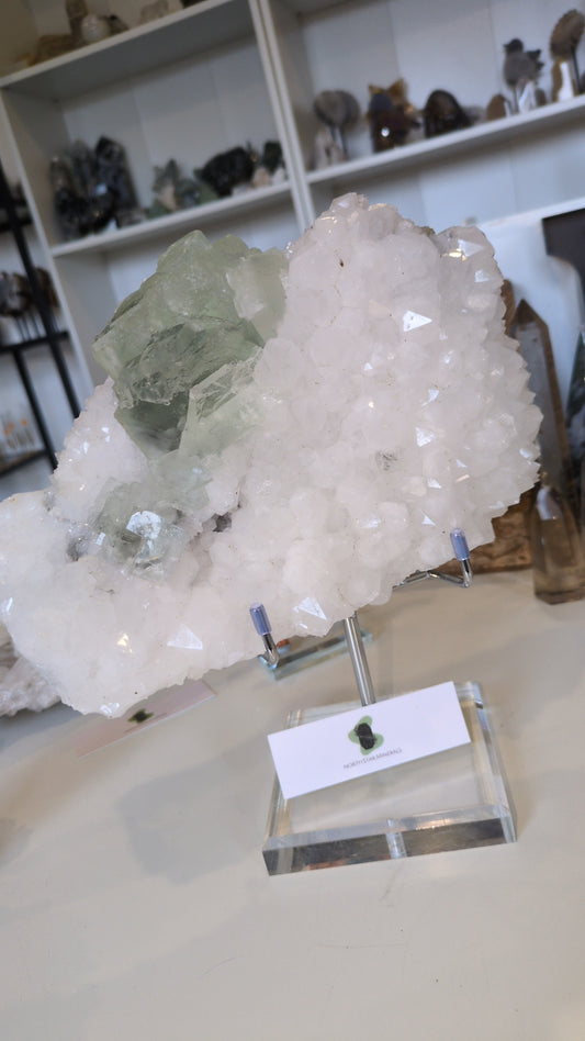 Flourite on quartz ✨