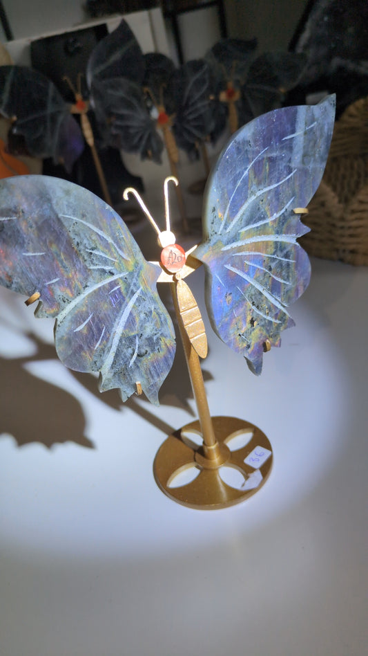 Labradorite wings ( set A20) ✨