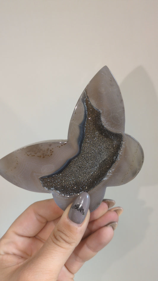 Druzy agate butterfly 🦋