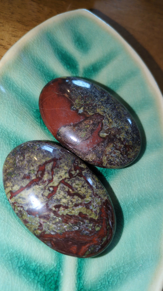 'Dragonbloodstone' Palms