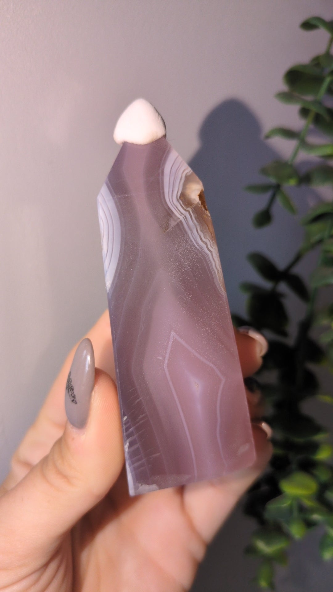 Jellyagate tower ✨