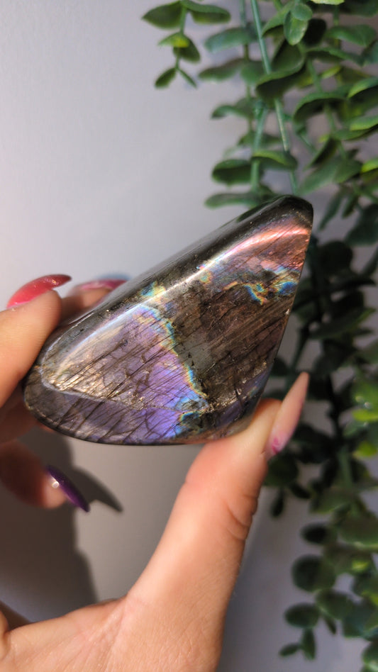 Spectrolite (A) ✨