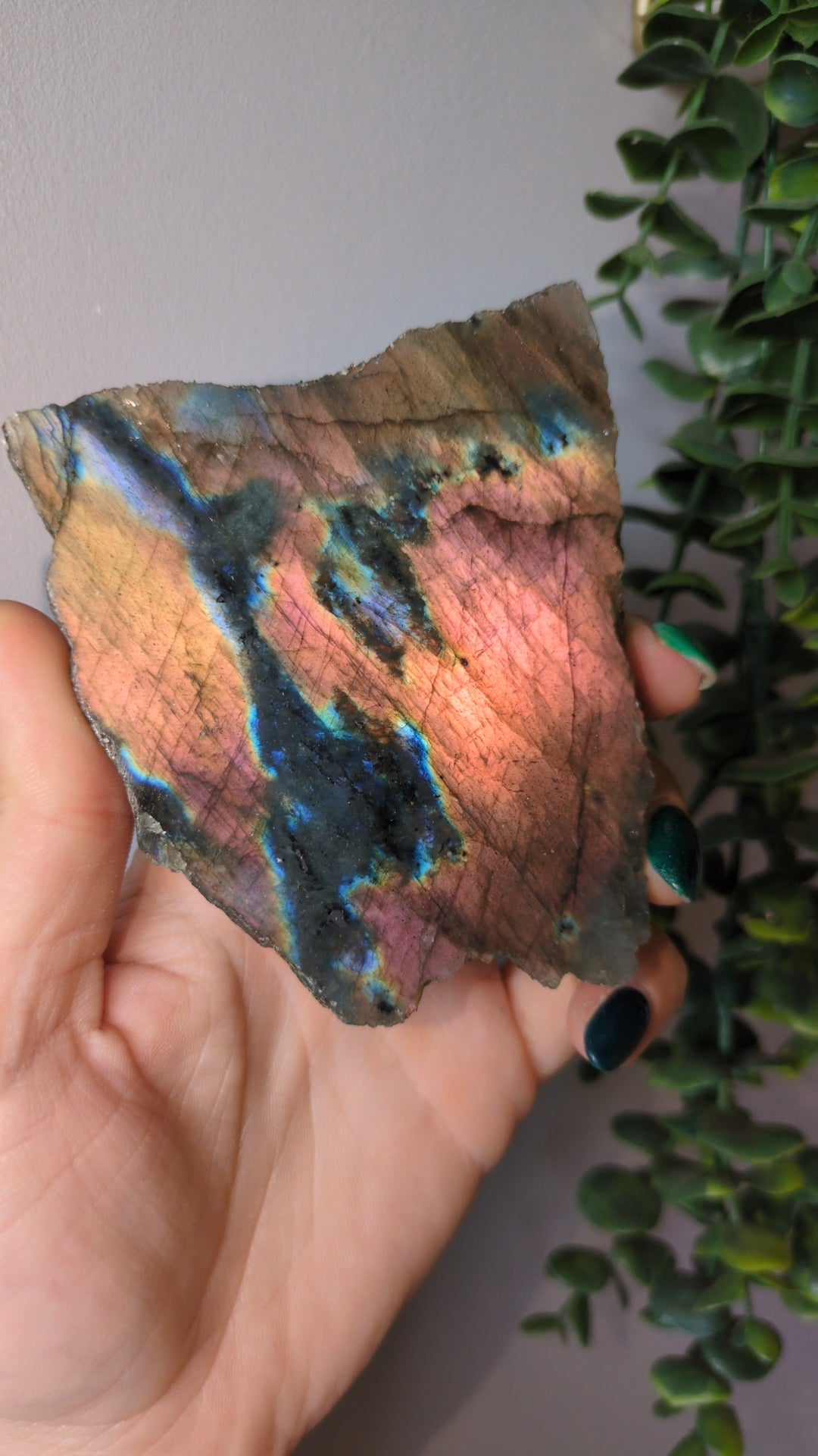 Sunset metallic labradorite slab ✨ B