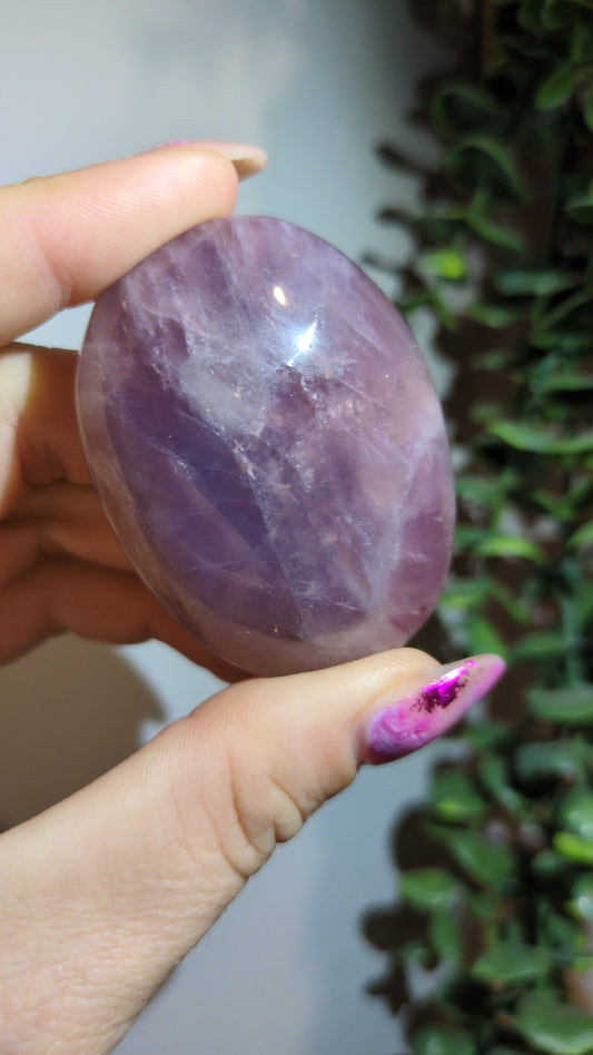 Lavender rose Palm ✨