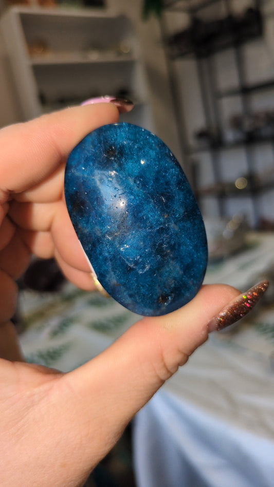 High quality blue appetite palm ✨