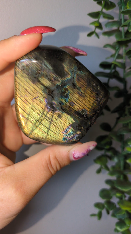 Spectrolite (B) ✨