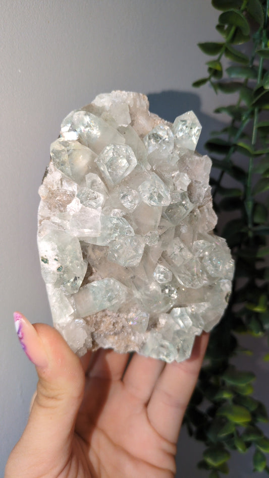 Icy Mint Apophyllite ✨ X