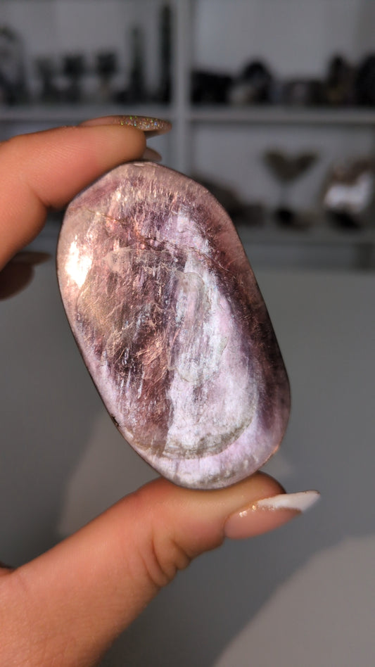 Purple mica palm
