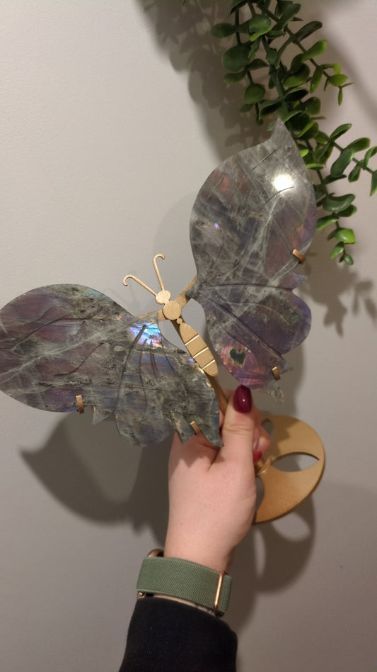 Large rainbow Labradorite wings ✨