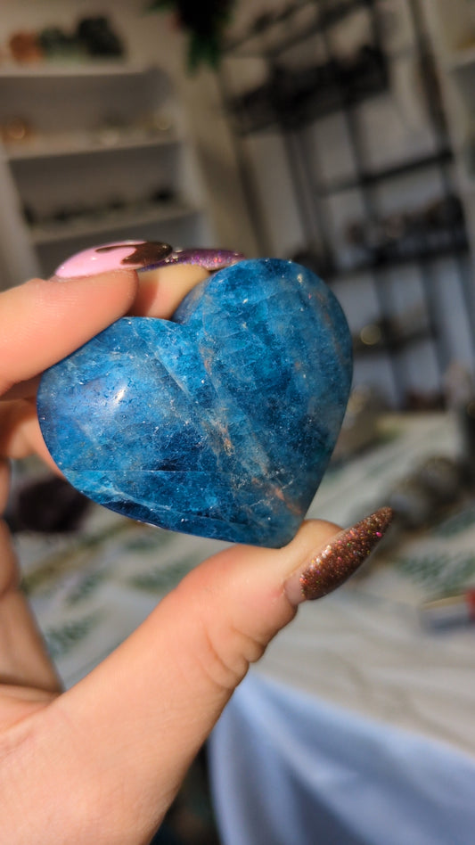 Blue appetite heart 💙