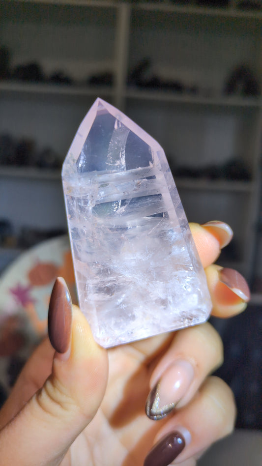 High quality rose tower ✨ B