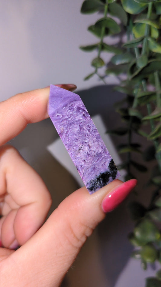 Small chariote tower ✨ B