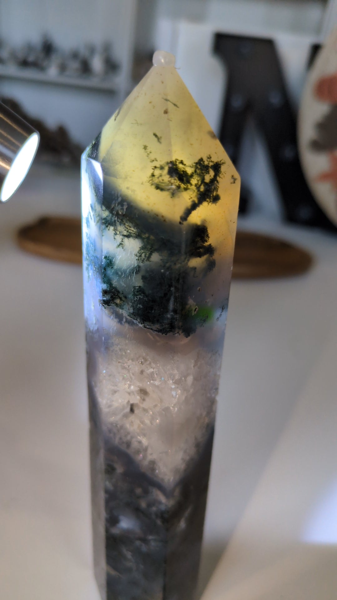 Dark moss tower ✨