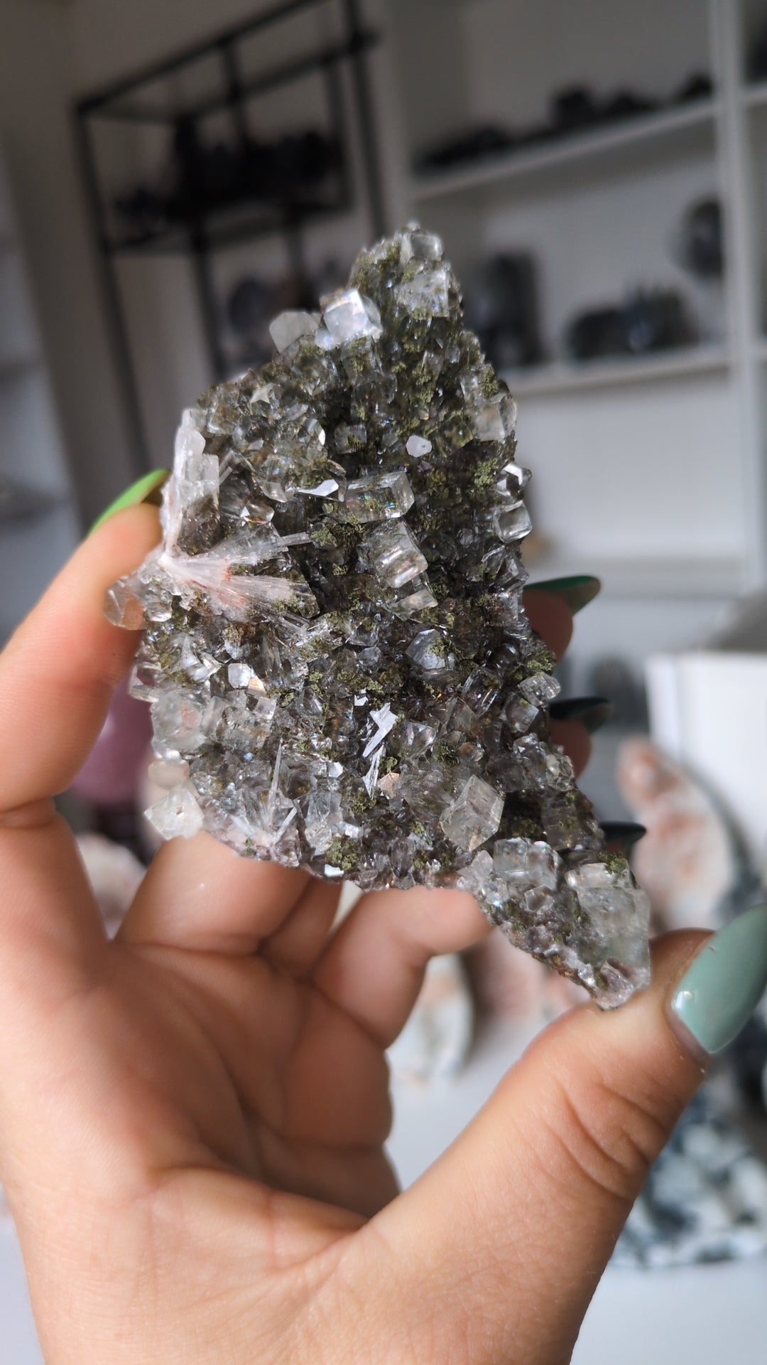 Forest Apophyllite ✨N