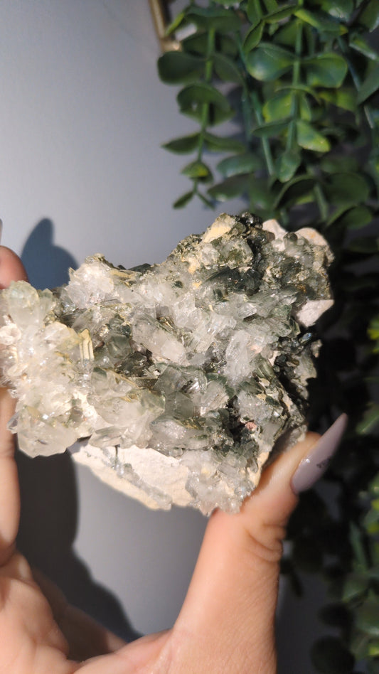 Chlorite included quartz ✨