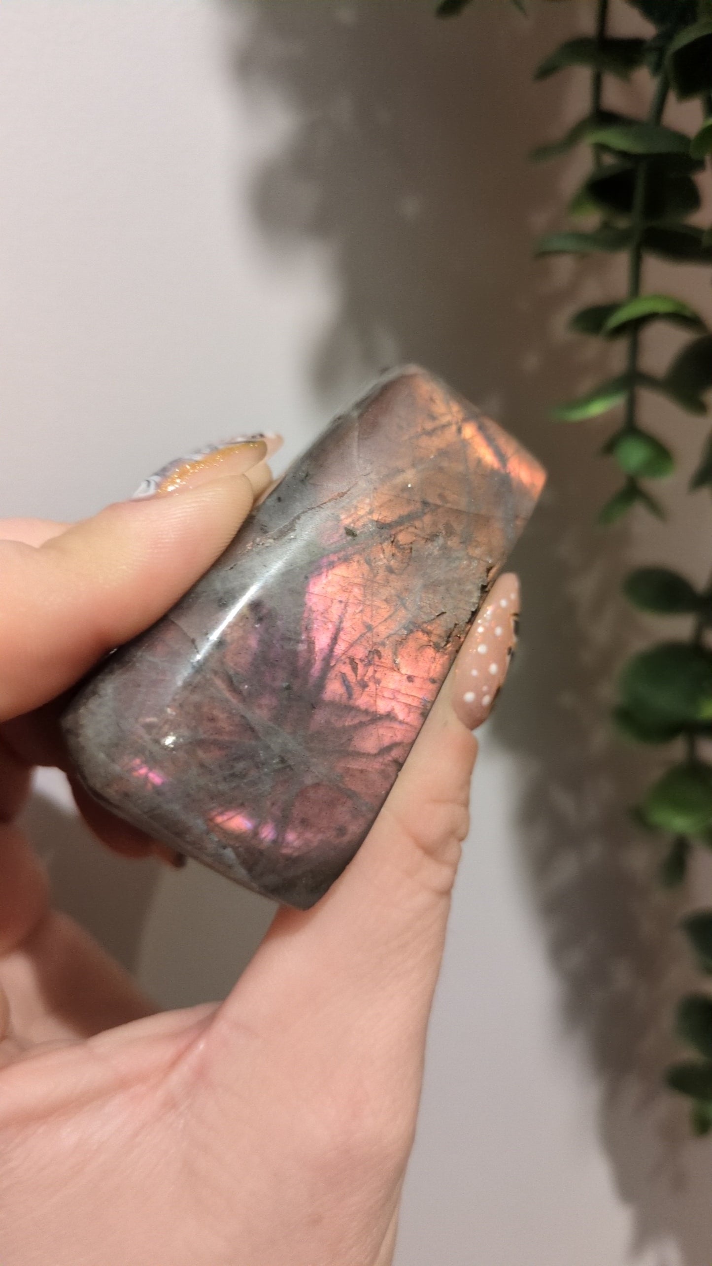 Labradorite ✨16b✨