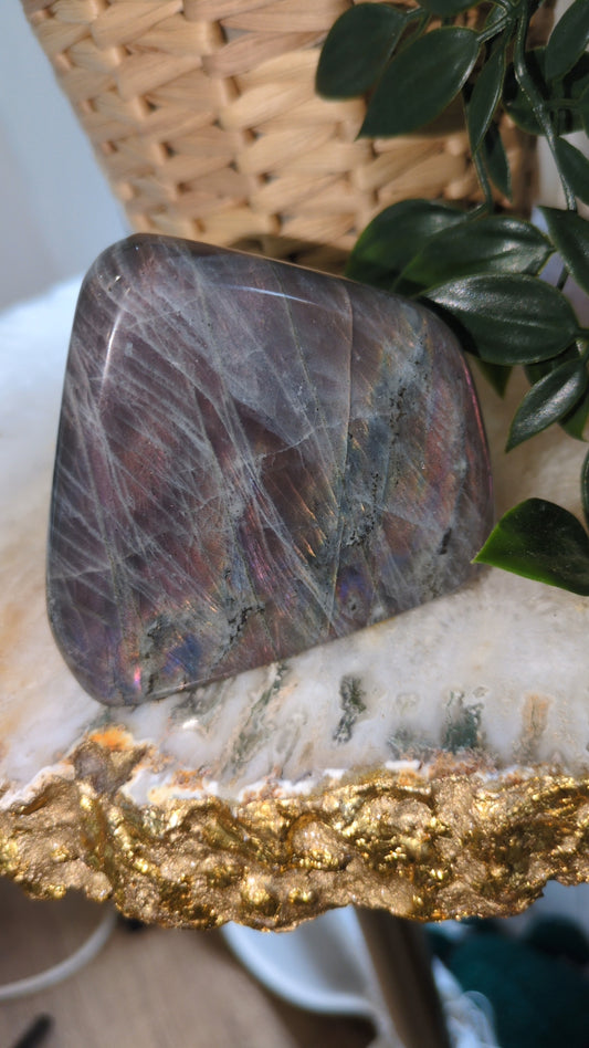 Labradorite freeform ✨