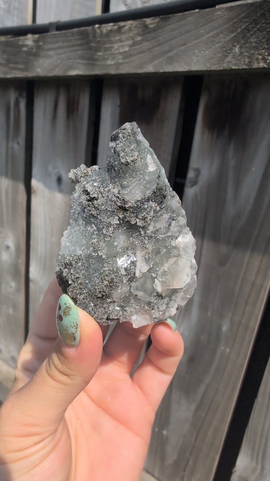 Black forest Apophyllite ✨ G