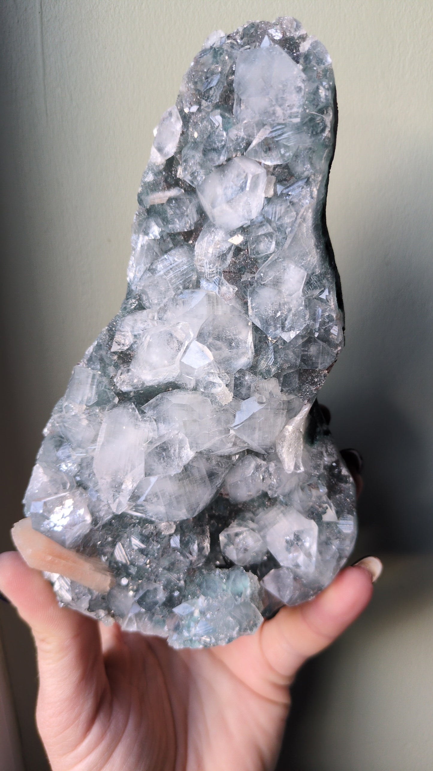 Apophyllite on Green Chalcedony ✨ H