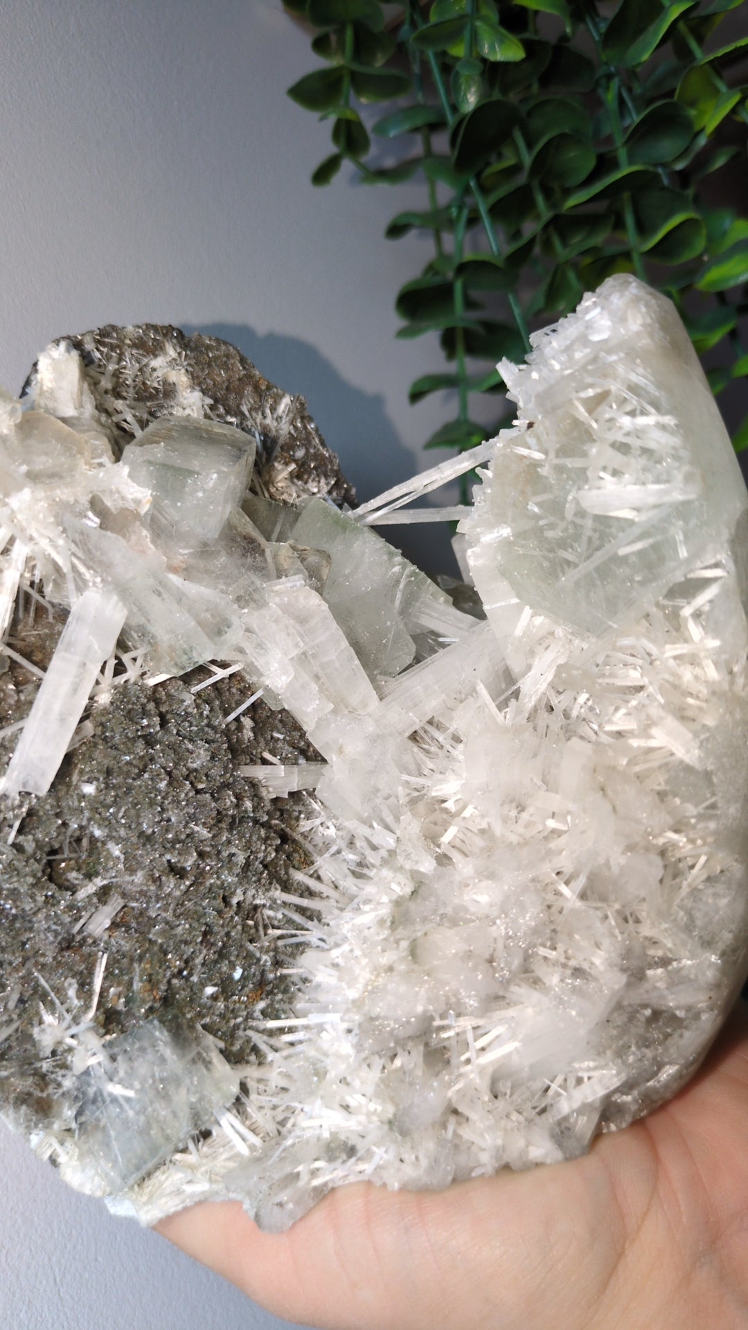 Scolecite Sprayed Apophyllite ✨ B