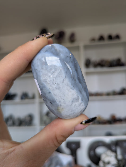 Blue petrified wood palm ✨