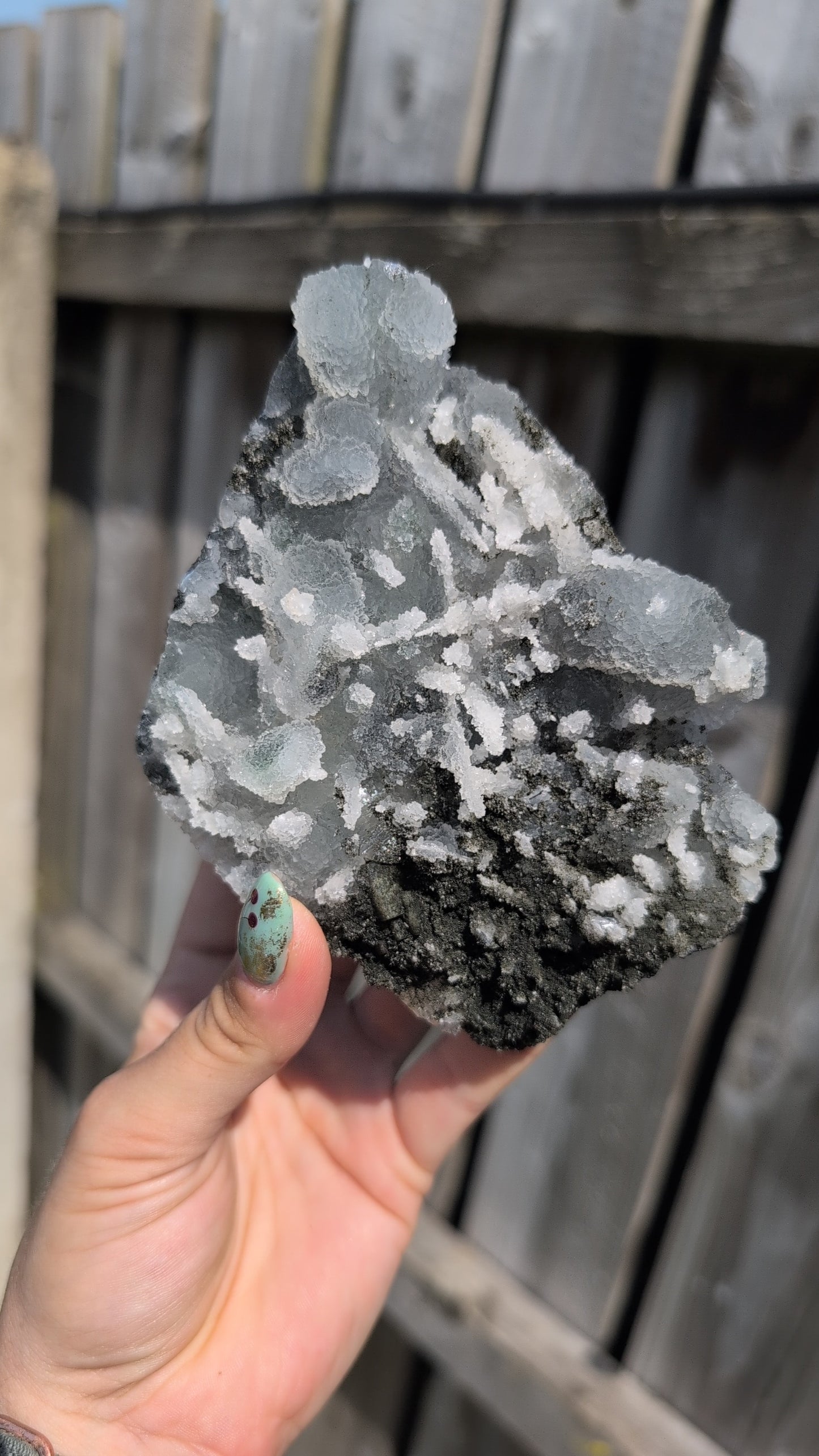 Black forest Apophyllite ✨ X