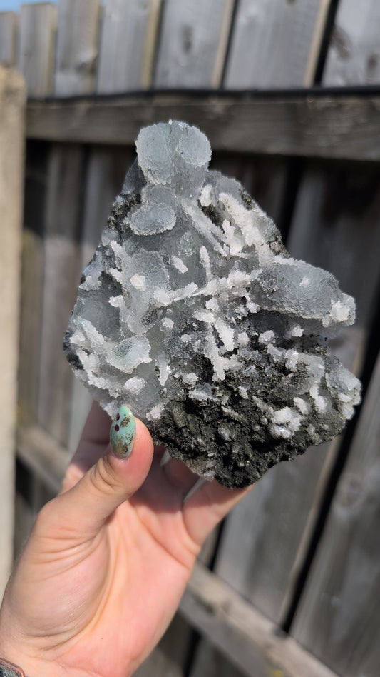 Black forest Apophyllite ✨ X