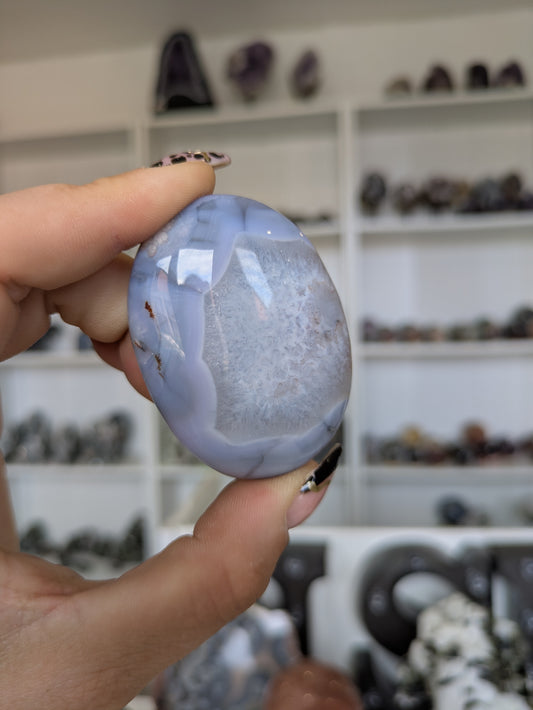 Blue flower agate palm ✨ X